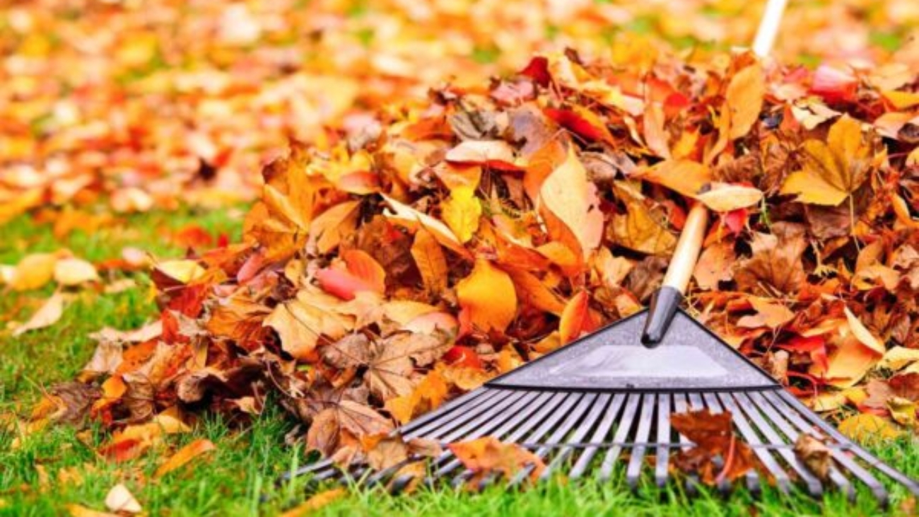 fall-cleaning